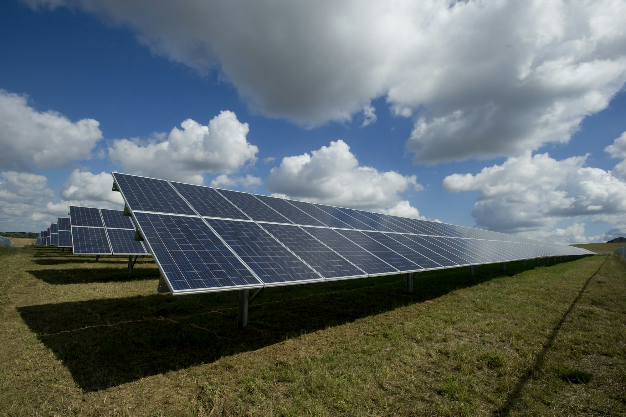 Modulreihen einer Photovoltaik-Freiflächenanlage auf einer begrünten Fläche; Symbolfoto